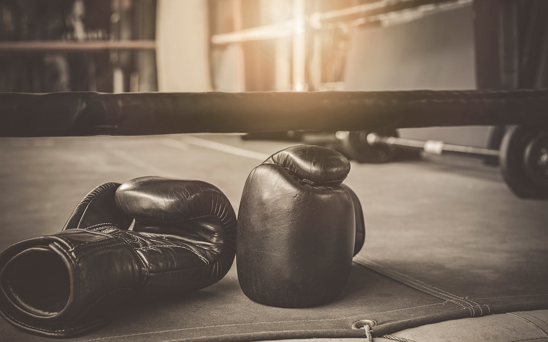 2 Sessions spéciales d'AEROBOXE le dimanche 20 Novembre - European ...